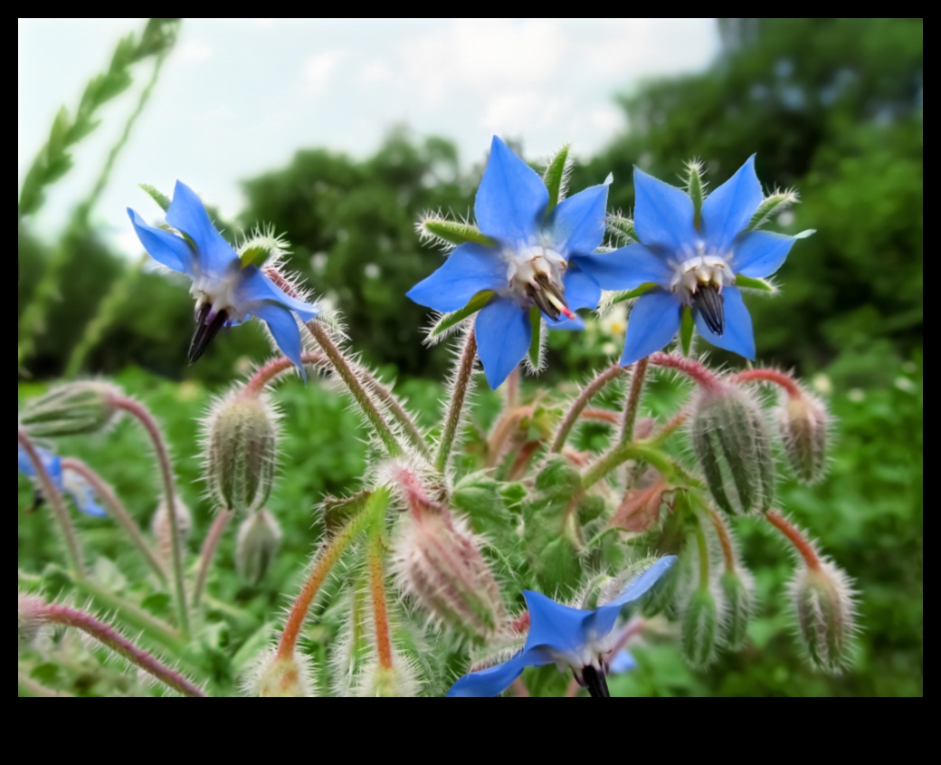 Floral Friendships The Art of Companion Planting 3 Floral Friendships: The Beauty of Expert Companion Planting