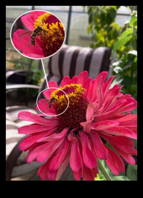 Floral Fusion Mastering the Art of Companion Planting for a Bountiful Harvest 4 Floral Fusion: Mastering the Art of Companion Planting