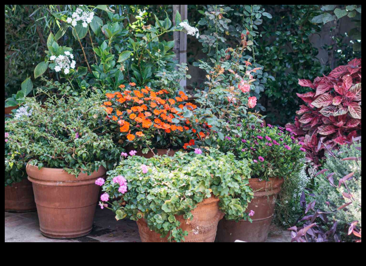 Floral Pots: Crafting Stunning Gardens with Containers