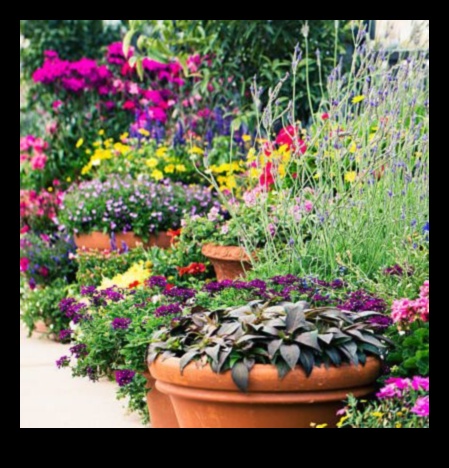 Floral Pots: Crafting Stunning Gardens with Containers