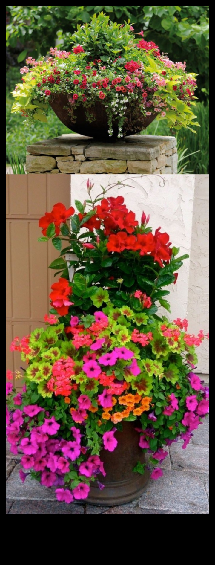 Floral Pots: Crafting Stunning Gardens with Containers