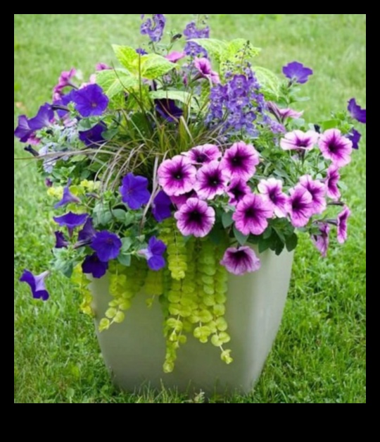 Floral Symphony: Harmonizing Colors in Container Gardens