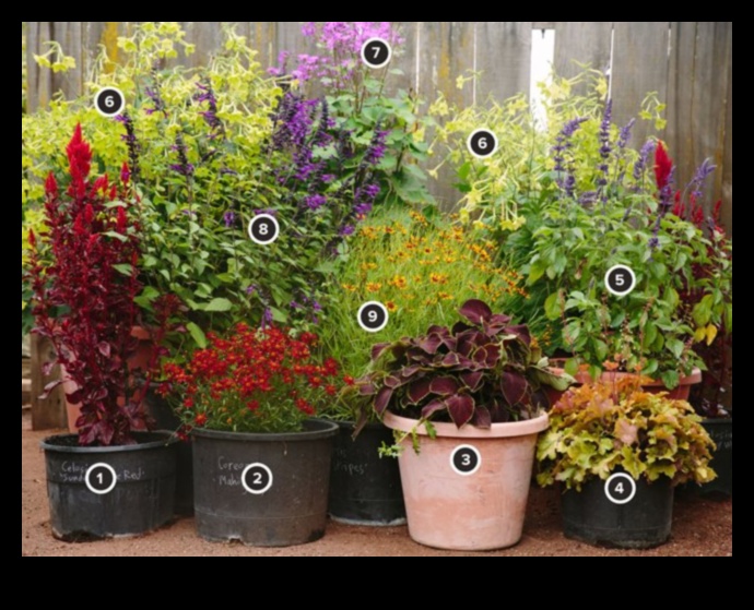 Floral Symphony: Harmonizing Colors in Container Gardens