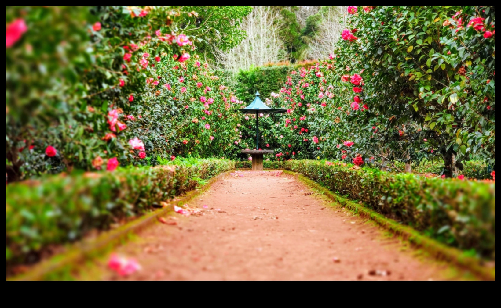 Floral Symphony How to Harmonize Nature with Thoughtful Garden Maintenance 1 Floral Symphony: Harmonizing Nature with Thoughtful Garden Maintenance