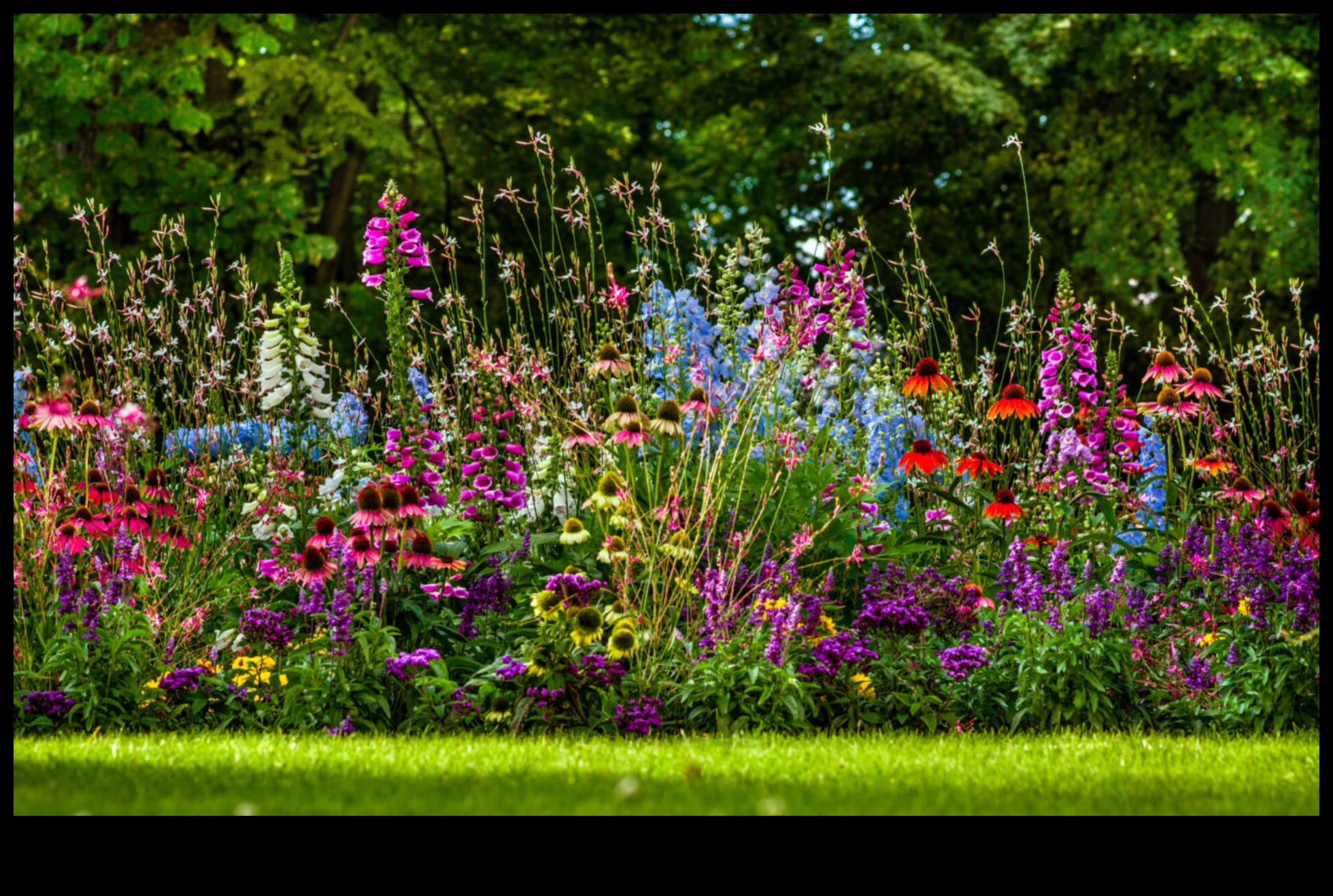 Flourishing Fields A Tapestry of Colors in Horticulture 1 Flourishing Fields: Horticulture's Tapestry of Colors