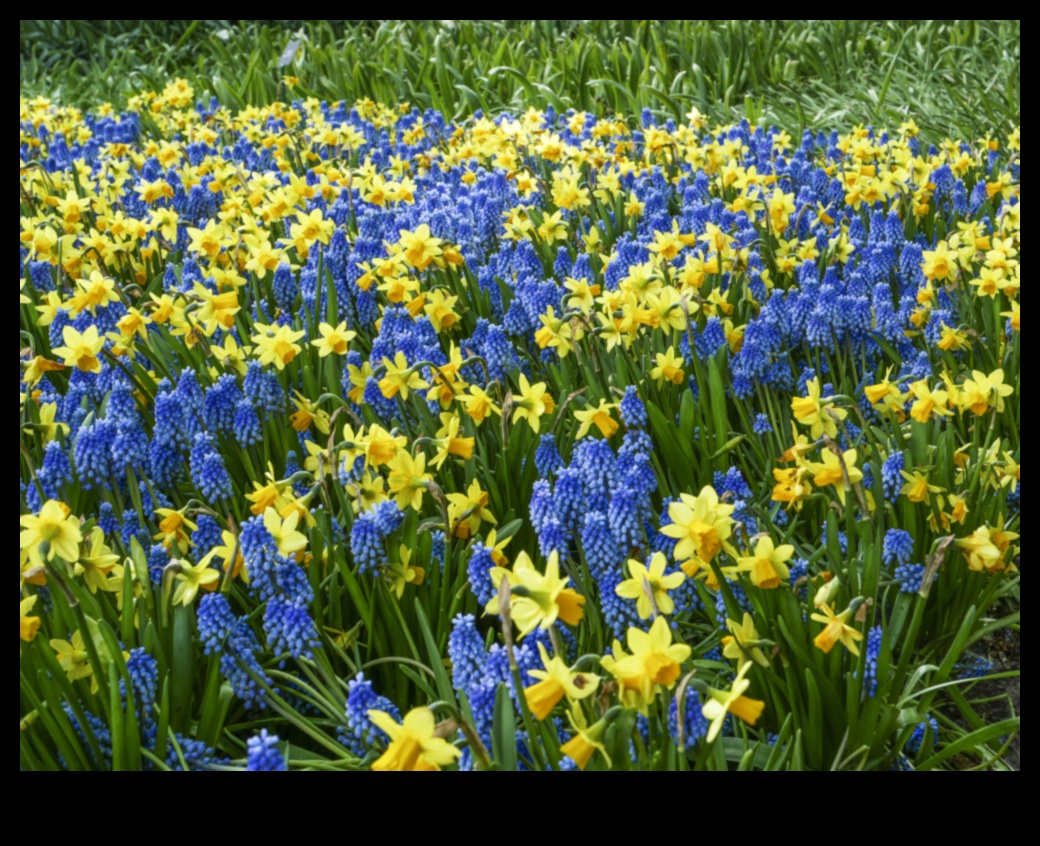 Flourishing Fields A Tapestry of Colors in Horticulture 3 Flourishing Fields: Horticulture's Tapestry of Colors