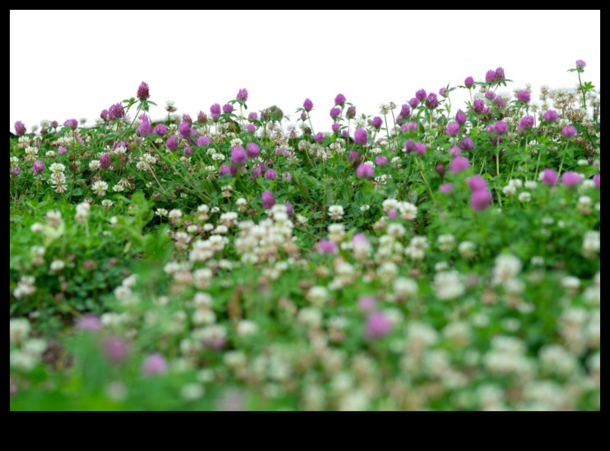 Flourishing Fields A Tapestry of Colors in Horticulture 5 Flourishing Fields: Horticulture's Tapestry of Colors