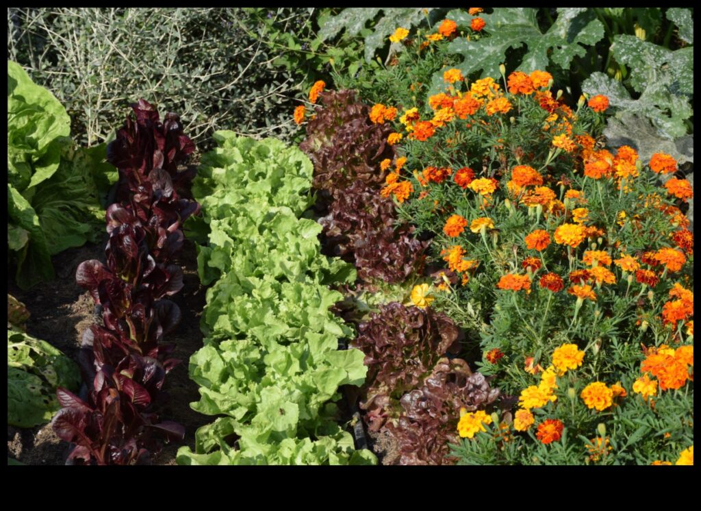 Foliage Friends Elevate Your Garden's Beauty with Companion Planting 1