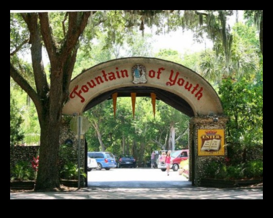 Urban Water Features: Fountains and Ponds in Cityscapes