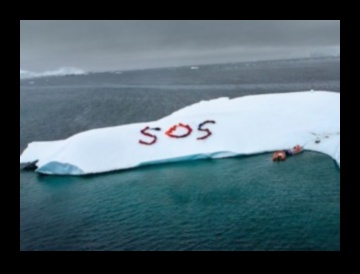 Fragile Beauty: Flora and Fauna in Delicate Ecosystems