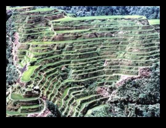 What is the impact of tourism on fragile landscapes?