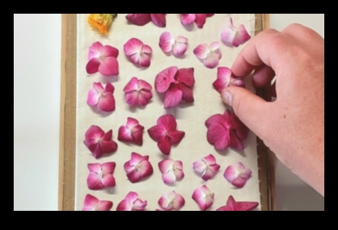 From Paper to Petals: Mastering the Art of Garden Planning