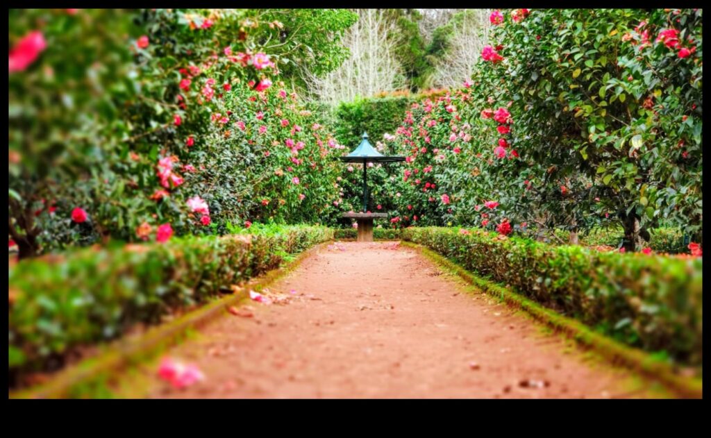 From Sketch to Splendor A Step-by-Step Guide to Creating Your Dream Garden 1