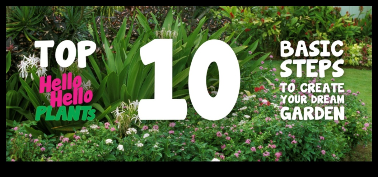 From Sketch to Splendor: Crafting Your Ideal Garden Space