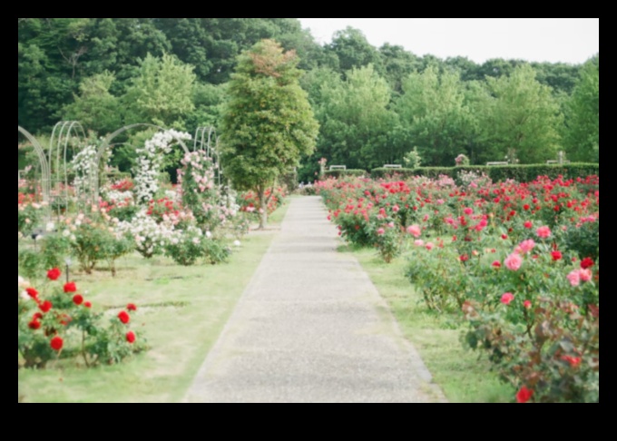 From Sketch to Splendor: Crafting Your Ideal Garden Space