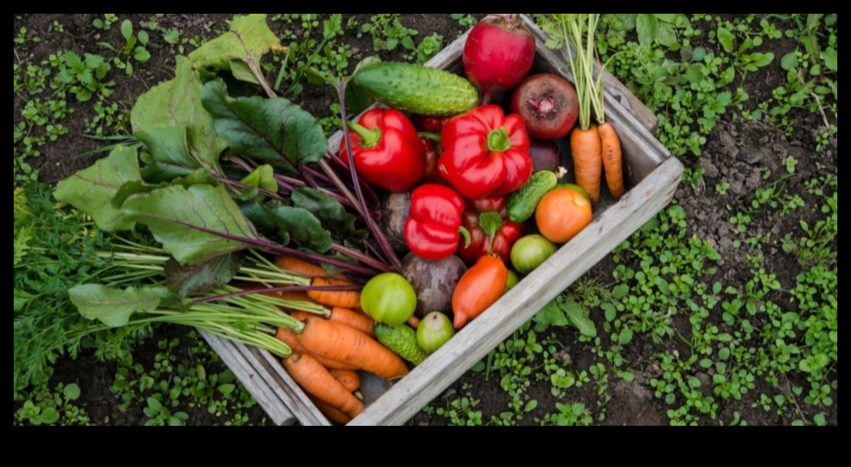 From Soil to Supper: The Organic Gardeners' Delight