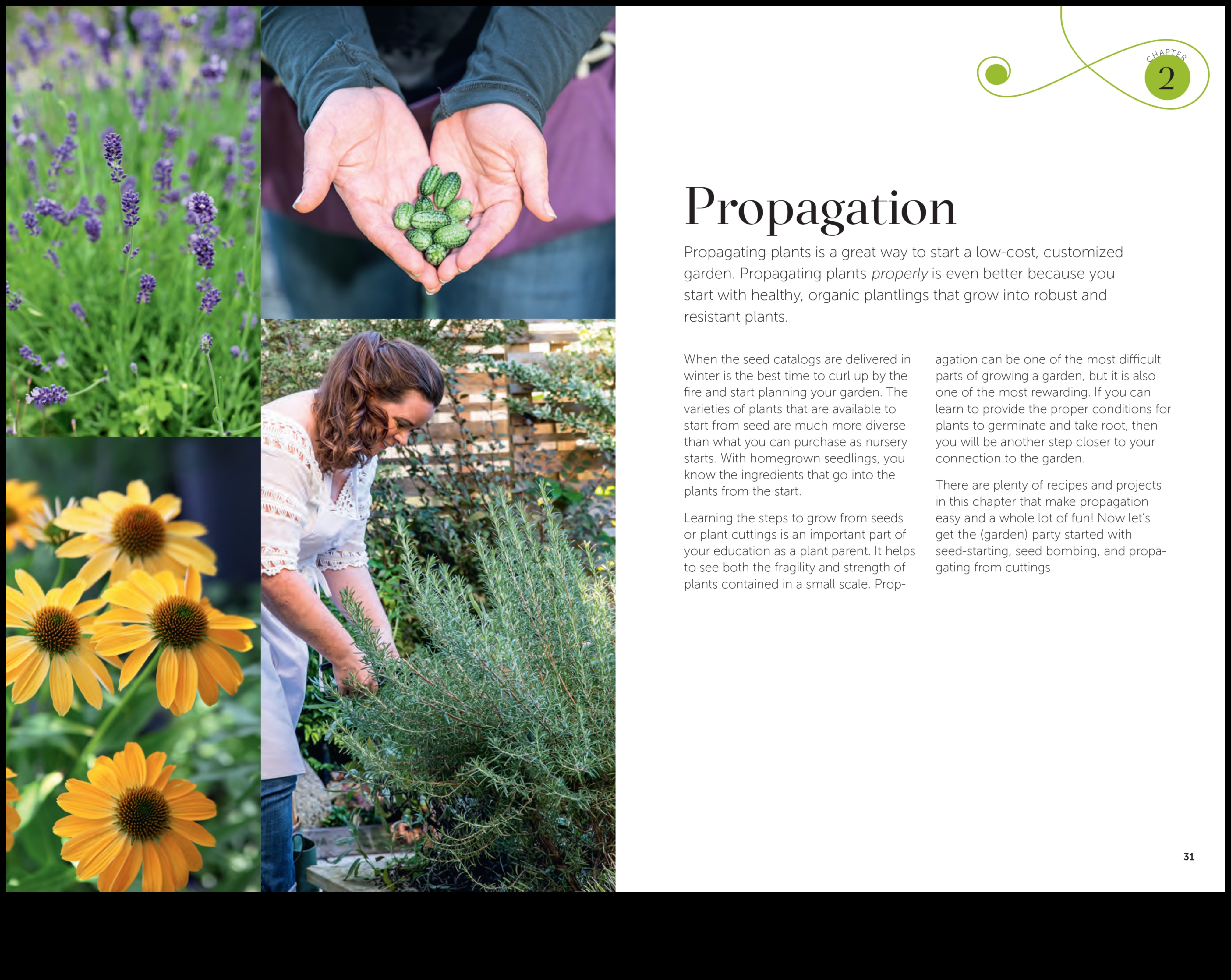 Garden Alchemy Transform Your Space with These 7 Tips 3 Garden Alchemy: Transformative Tips for Stunning Results