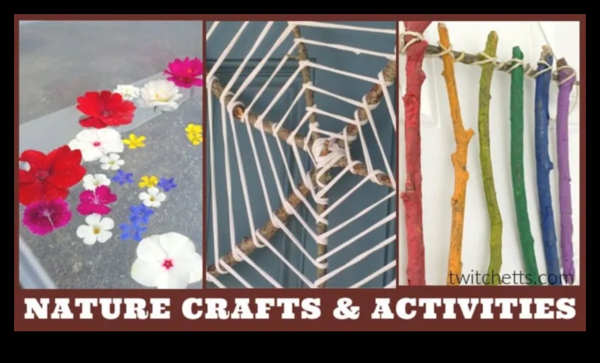 Garden Artisan 50+ Creative DIY Projects to Capture the Beauty of Nature 4 Garden Artisan: Creative DIY Projects That Capture Beauty