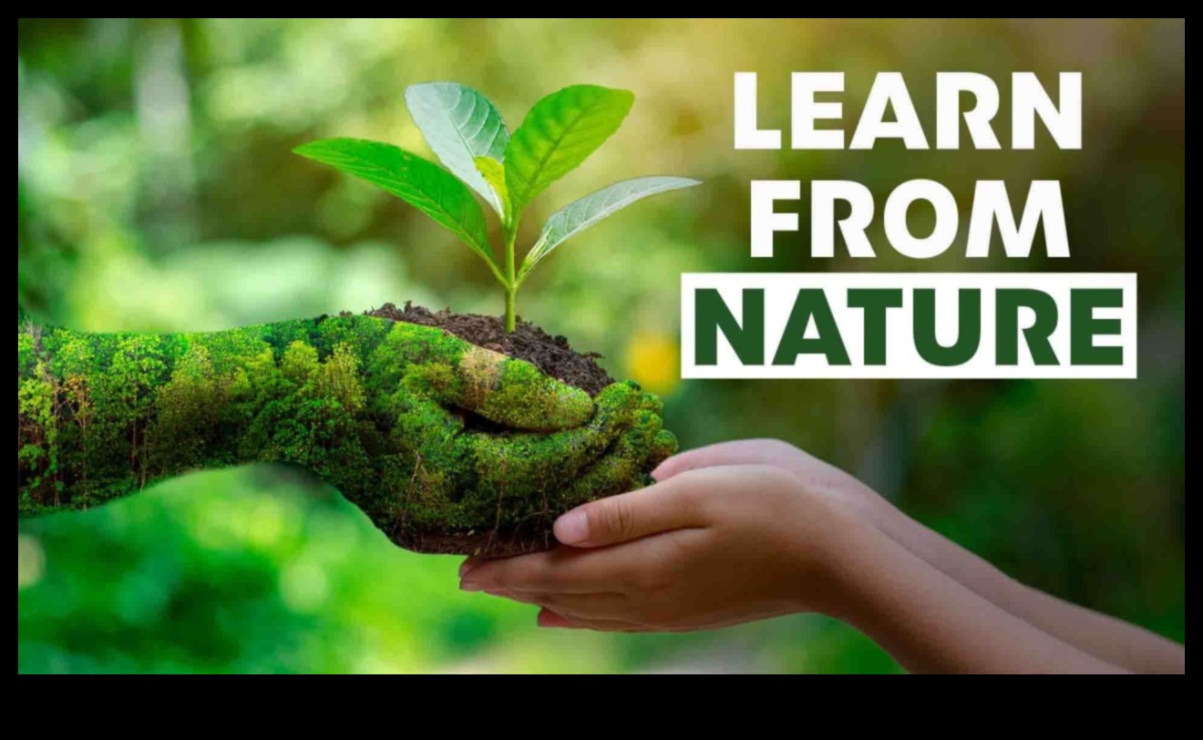 Garden Class Wisdom: Unlocking the Secrets of Education