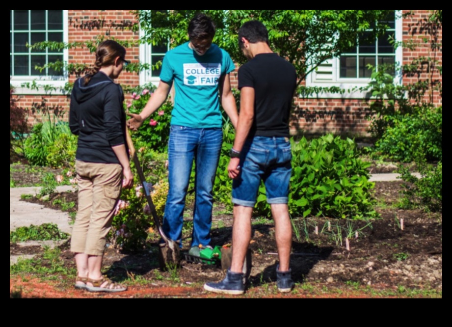 Garden Classroom Cultivating Curiosity and Creativity 4 Garden Classroom: Hands-On Learning in Bloom