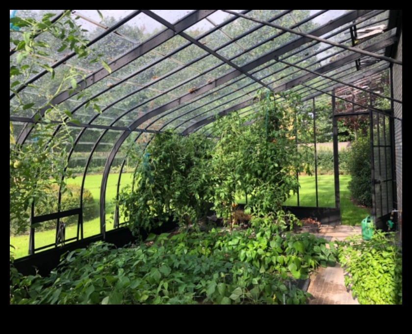 Garden Elegance A Greenhouse Full of Beauty in Every Bud 1