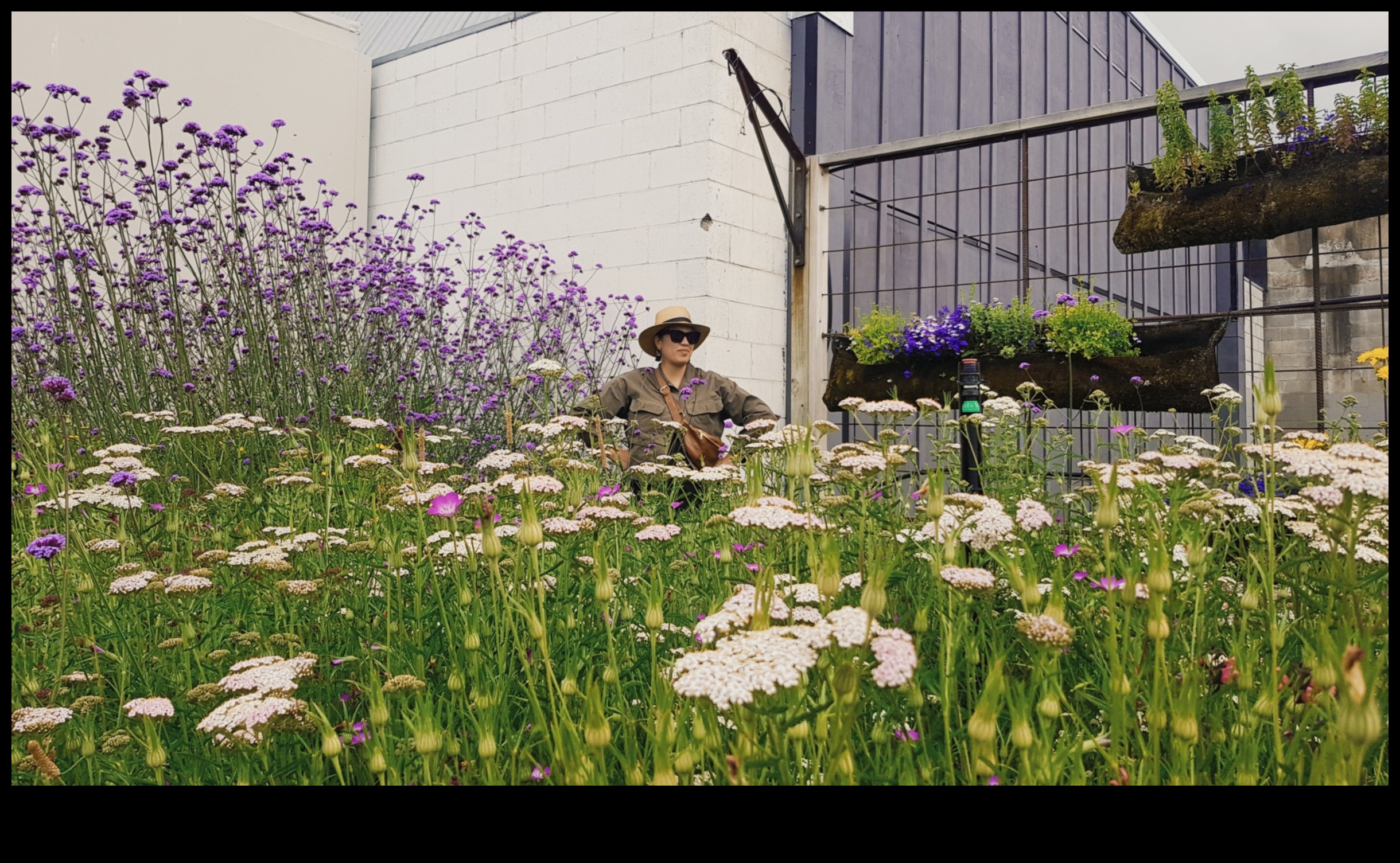 Garden Gems: Unlocking the Secrets of Pro Garden Care