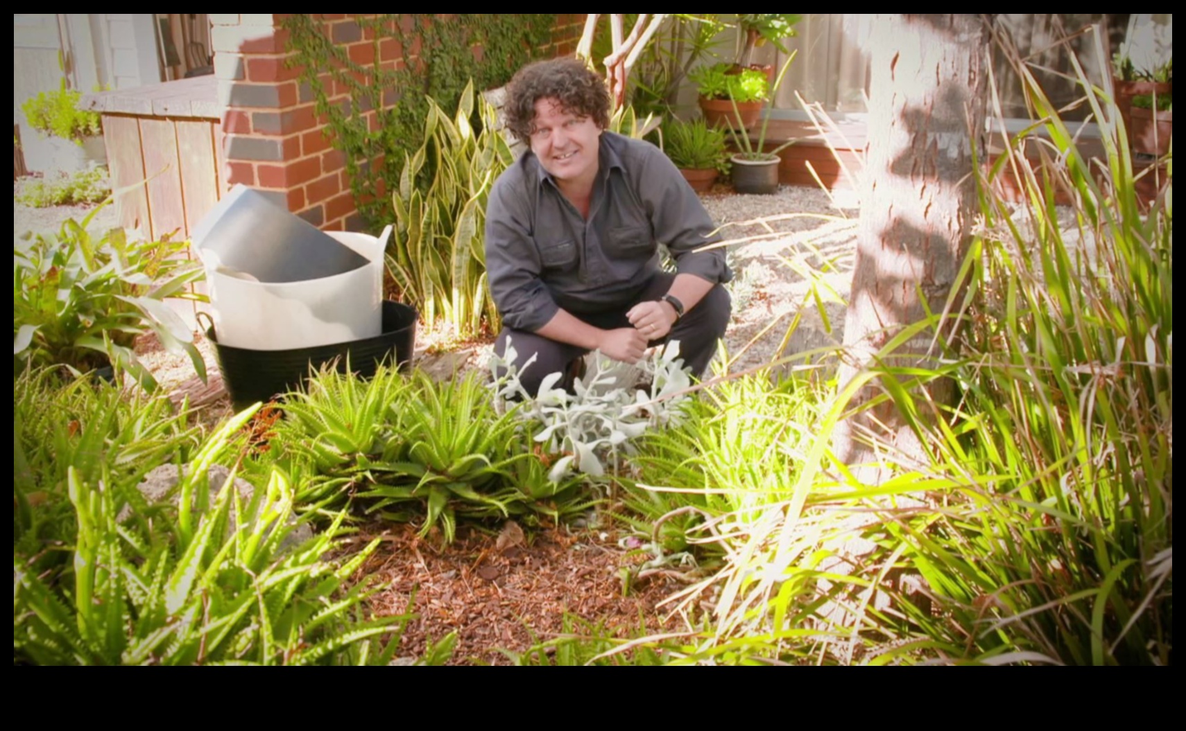 Garden Gems Unearth the Secrets of Horticulture 1 Garden Gems: Unlocking the Secrets of Horticulture