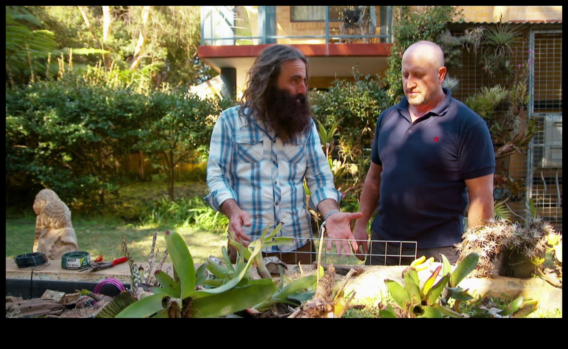 Garden Gems Unearth the Secrets of Horticulture 4 Garden Gems: Unlocking the Secrets of Horticulture