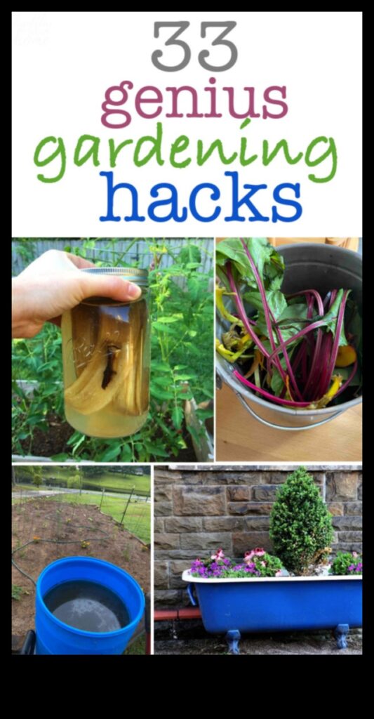 Garden Genius How Education Can Help You Grow 1