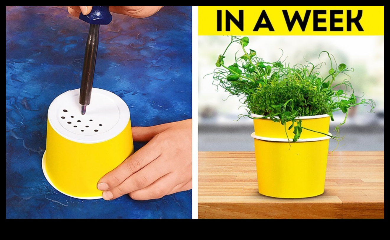 Garden Glamour: Upgrade Your Toolkit for Lushness