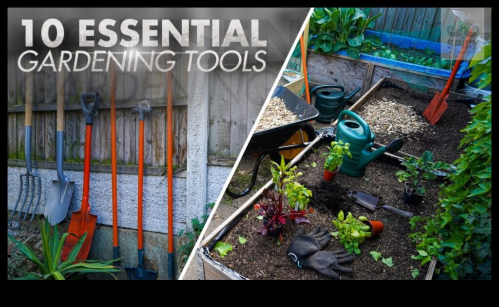 Garden Glee 10 Essential Tools to Elevate Your Outdoor Space 1