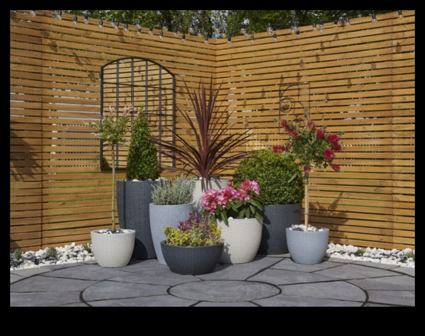 Garden Glee: Essential Tools to Elevate Your Space