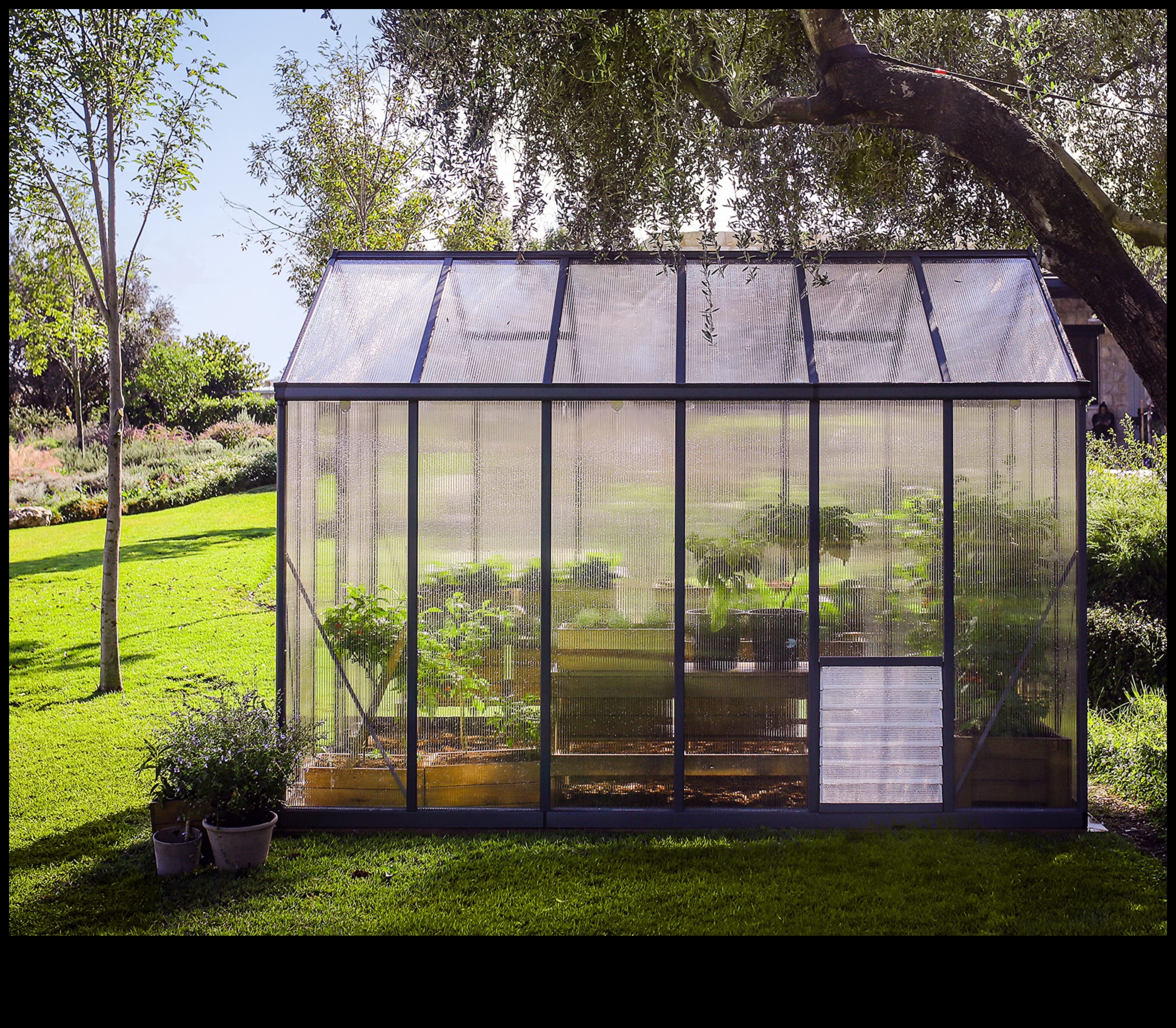 Garden Glory: Greenhouse Elegance in Every Bud