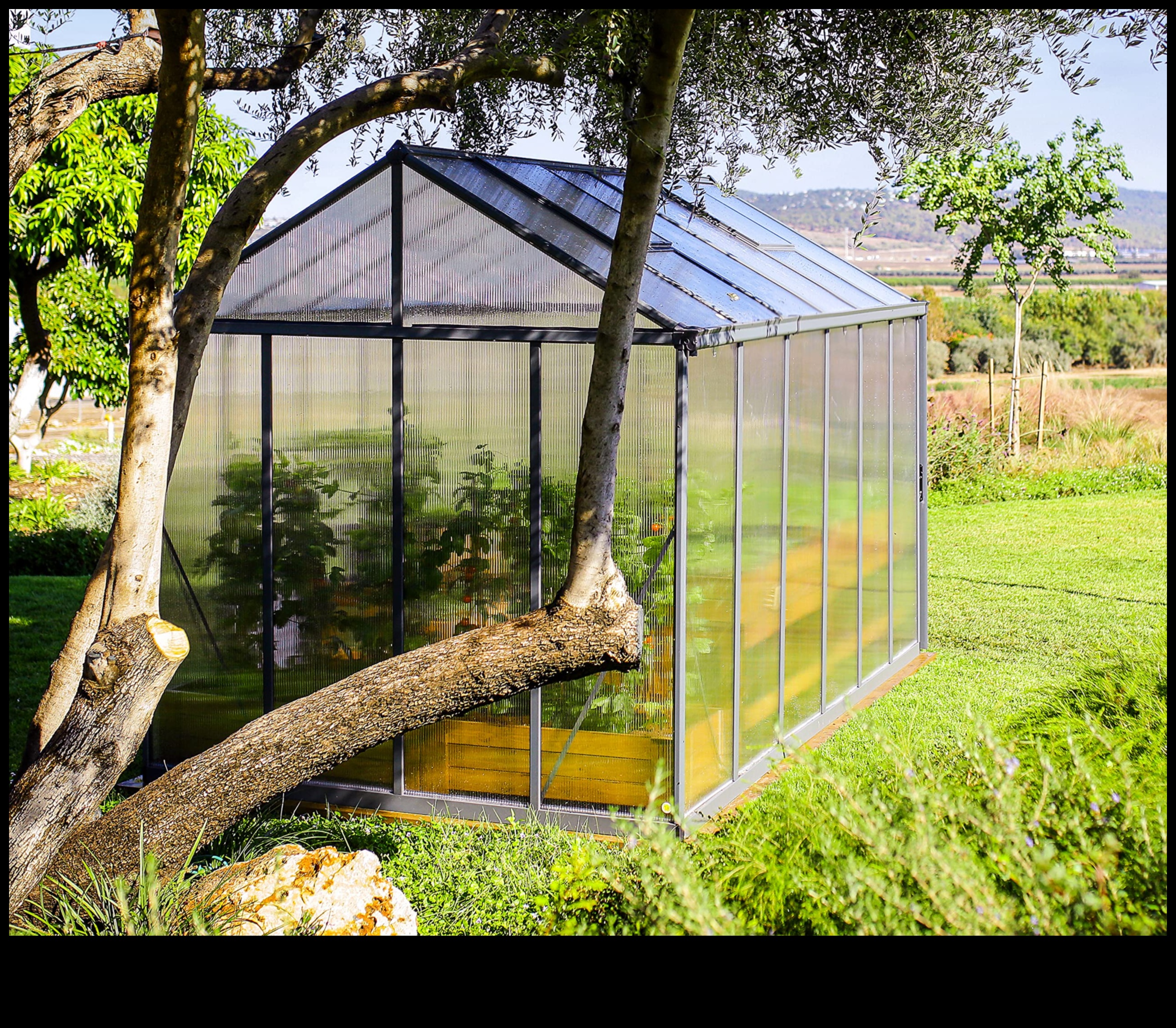 Garden Glory: Greenhouse Elegance in Every Bud