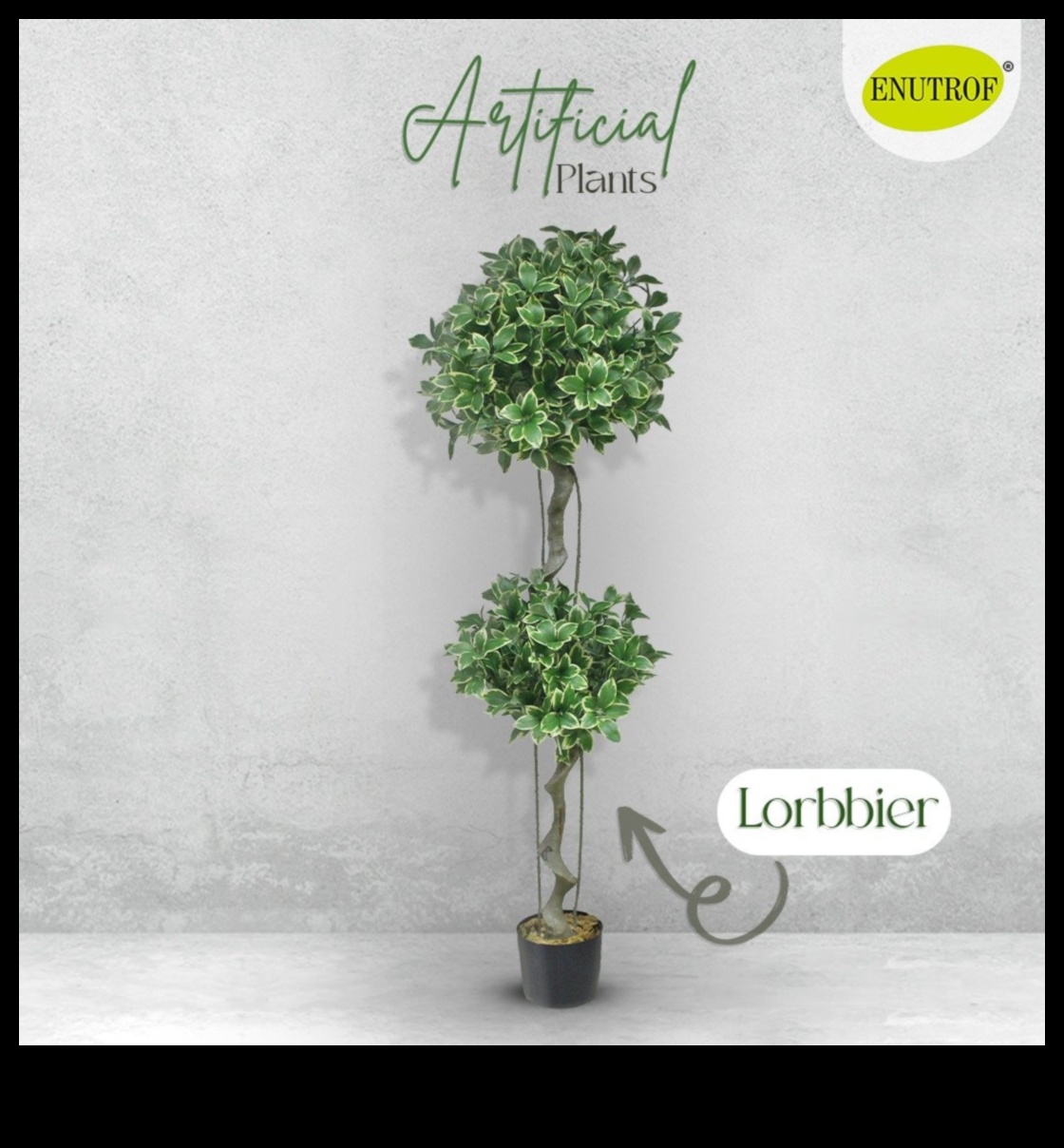 Garden Grandeur Elevate Your Space with Artistic Wonders 3 Garden Grandeur: Elevate Your Space with Artistic Wonders