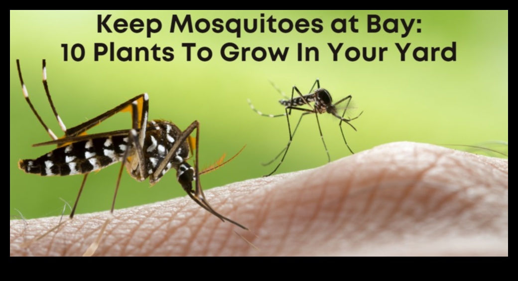 Garden Guardians: Your Arsenal Against Pesky Pests