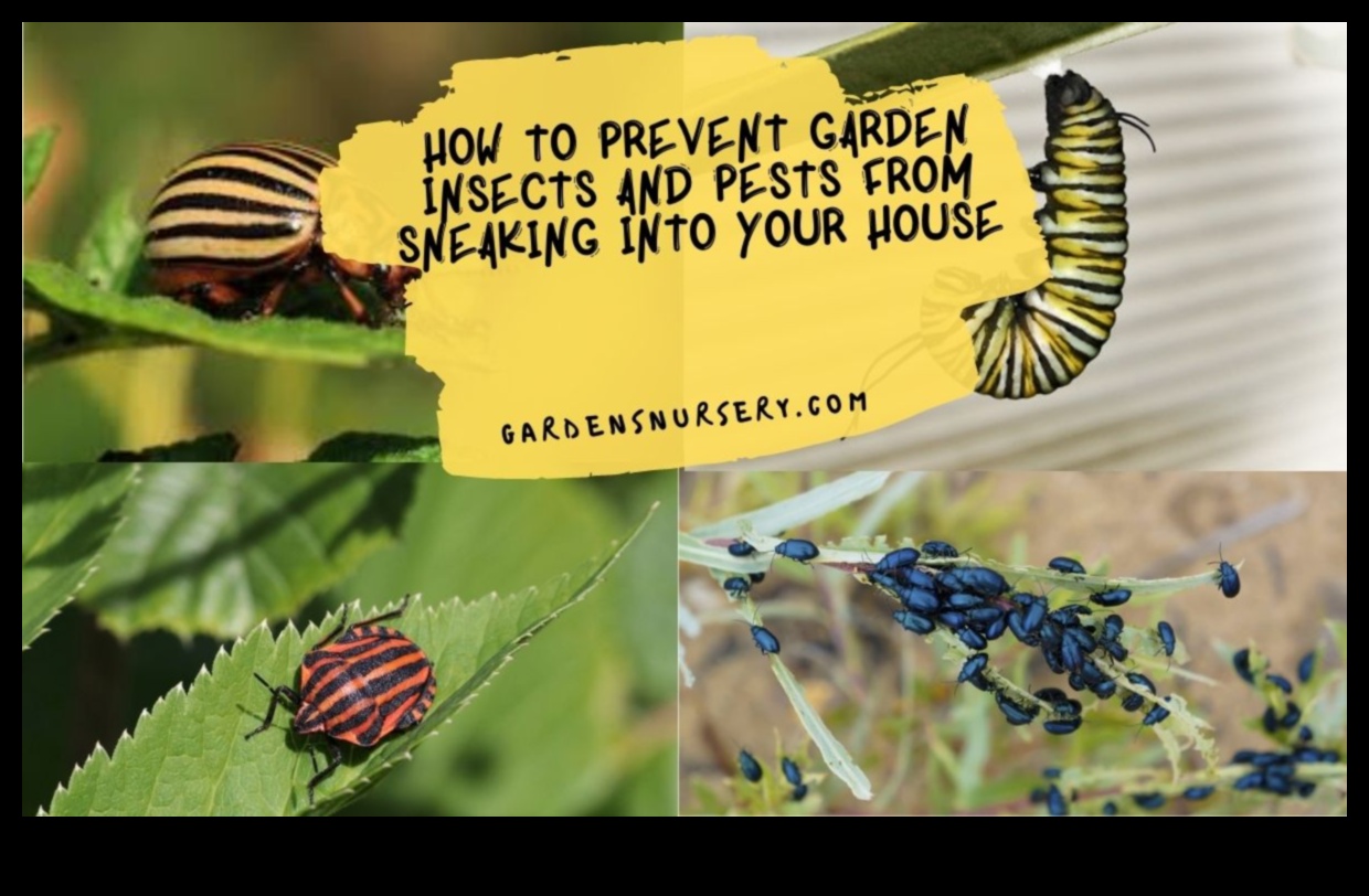 Garden Guardians: Your Arsenal Against Pesky Pests