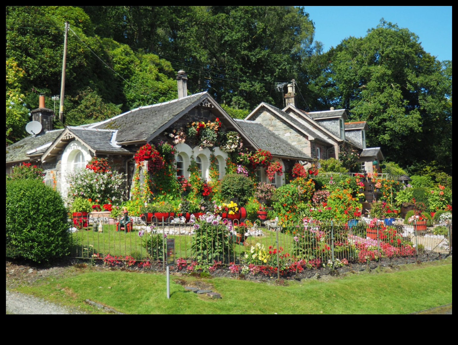 Garden Guru Guide Tips for a Picture-Perfect Paradise 1 Garden Guru Guide: Tips for a Picture-Perfect Paradise