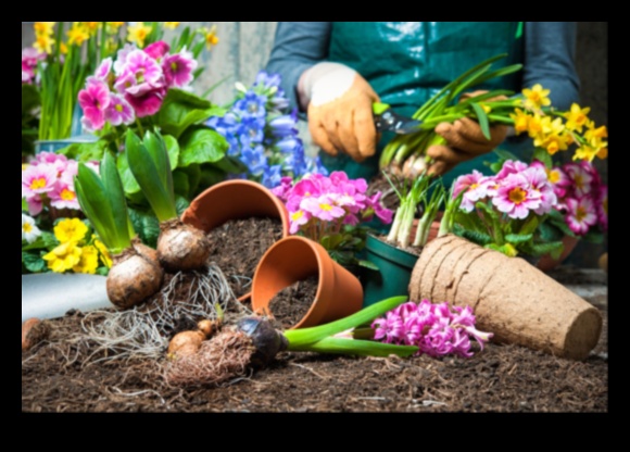 Garden Guru Guide Tips for a Picture-Perfect Paradise 2 Garden Guru Guide: Tips for a Picture-Perfect Paradise