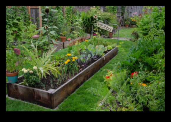 Garden Guru Guide Tips for a Picture-Perfect Paradise 3 Garden Guru Guide: Tips for a Picture-Perfect Paradise