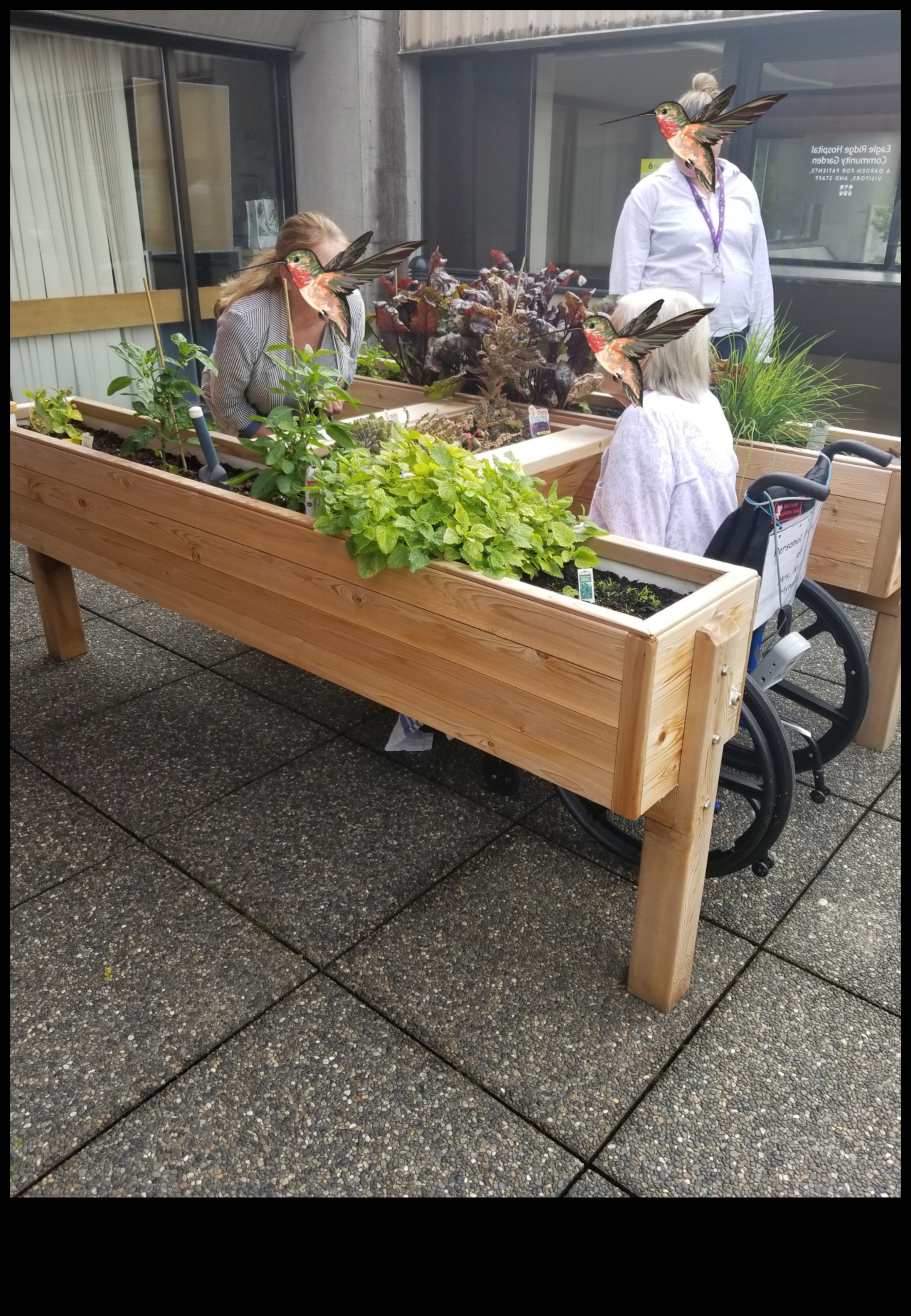 Garden Harmony Achieving Beauty and Efficiency in Maintenance 2 Garden Harmony: Balancing Beauty and Efficiency in Maintenance