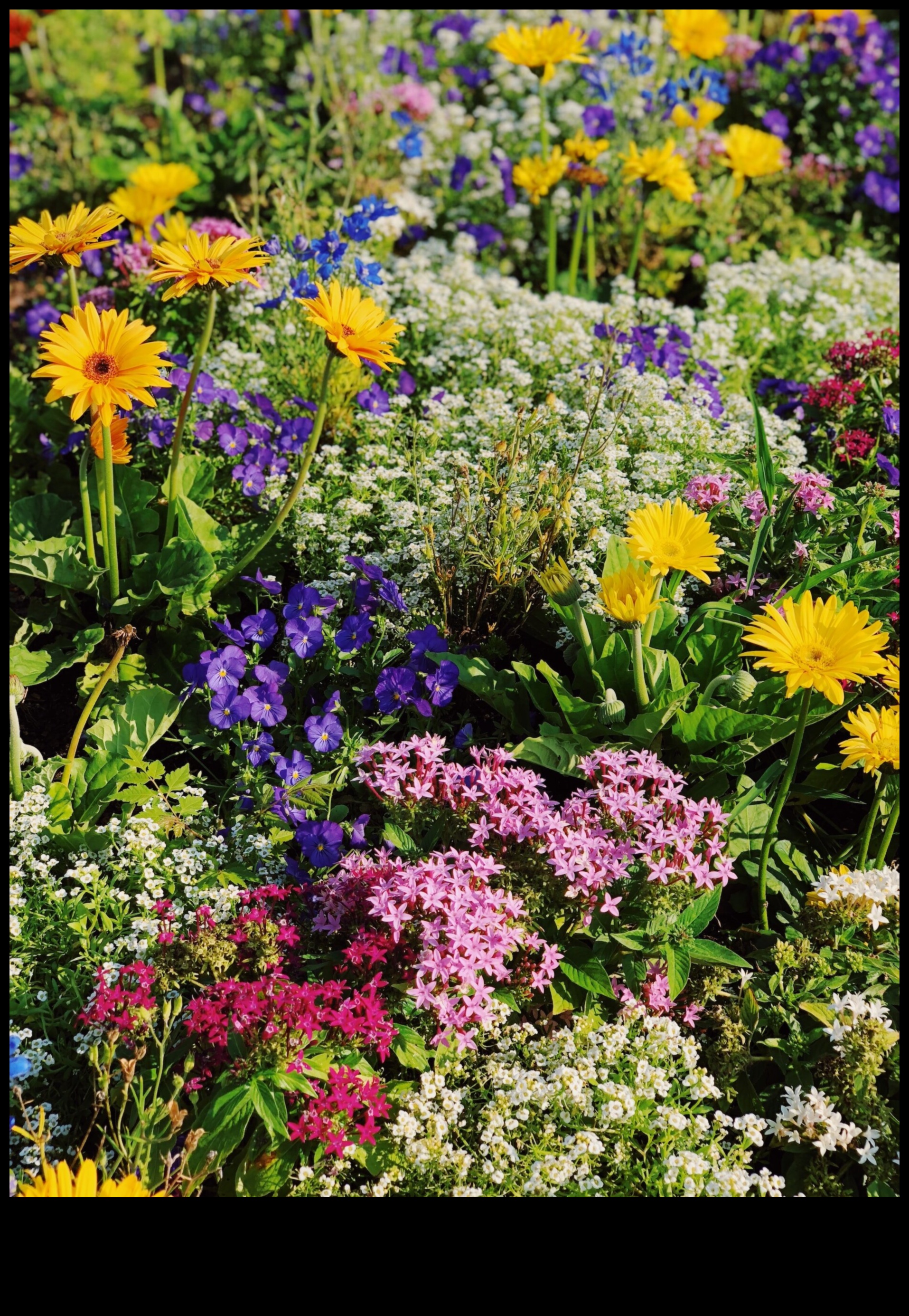 Garden Harmony Achieving Beauty and Efficiency in Maintenance 3 Garden Harmony: Balancing Beauty and Efficiency in Maintenance