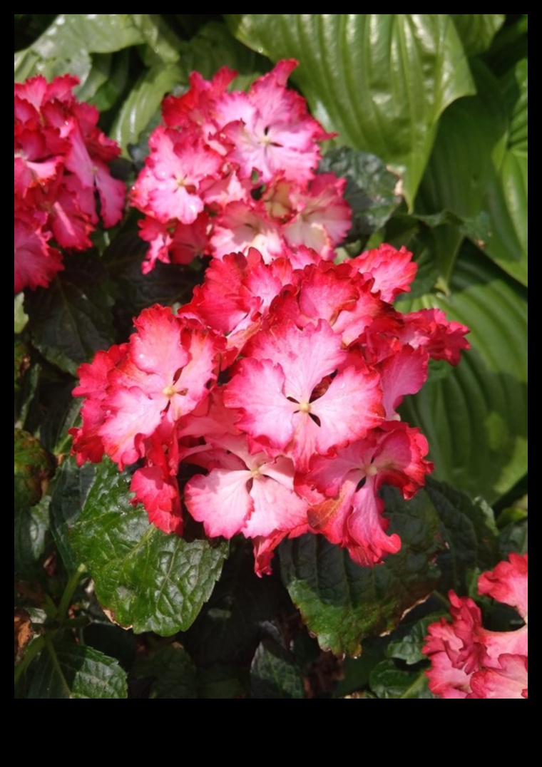 Garden Harmony Cultivate Beauty with Expert Care 5 Garden Harmony: Cultivate Beauty with Expert Care