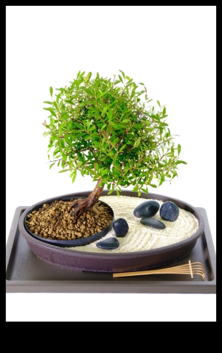 Garden Harmony: Elevate Your Space with Premium Gear