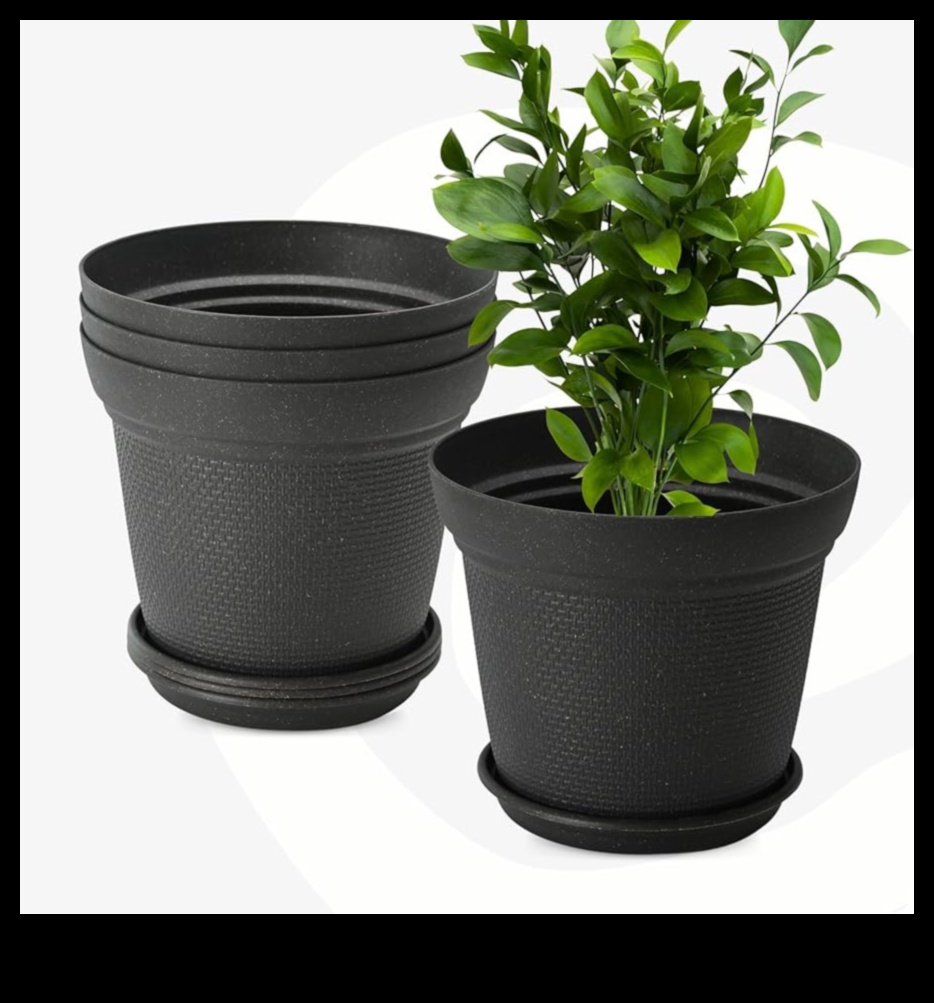 Garden Harmony: Elevate Your Space with Premium Gear