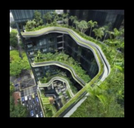 Garden Haven in the City: Urban Greening Ideas