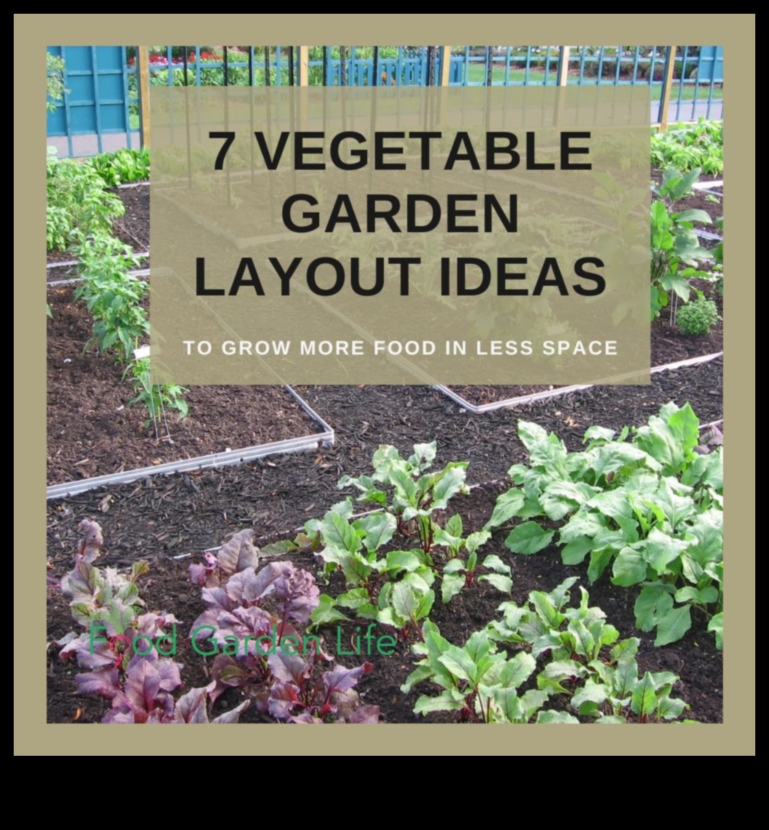 Garden Heights Vertical Gardening Secrets Exposed How to Grow More Food in Less Space 2 Garden Heights: Vertical Gardening Secrets Exposed