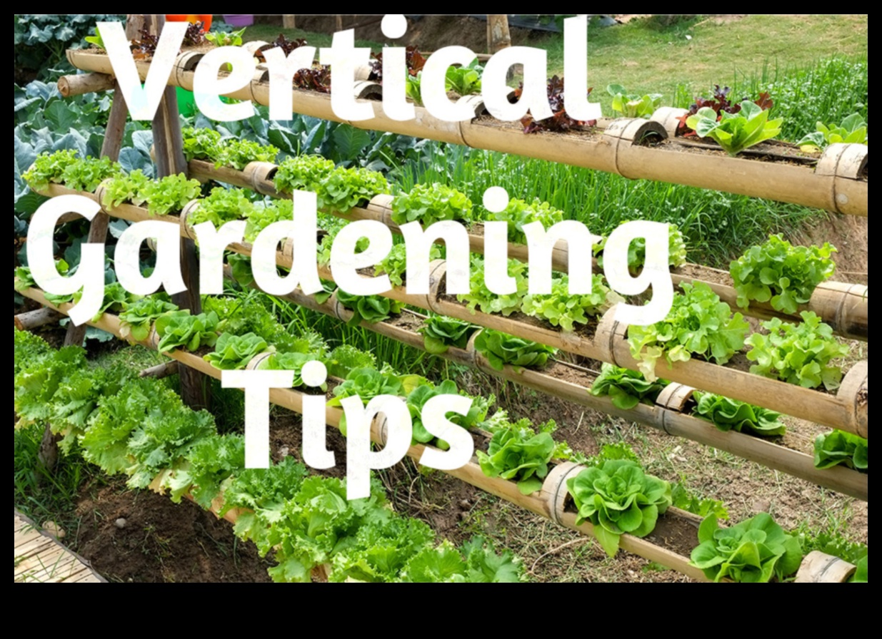Garden Heights Vertical Gardening Secrets Exposed How to Grow More Food in Less Space 4 Garden Heights: Vertical Gardening Secrets Exposed