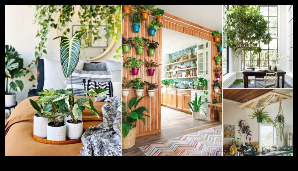 Garden Indoors A Beginner's Guide to Indoor GreeneryBring the outdoors in and create a lush, inviting oasis in your home with this easy-to-follow guide. 1