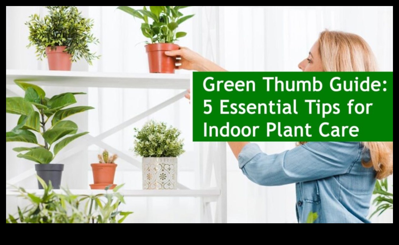 Garden Indoors: Simple Tips for Successful Indoor Greenery